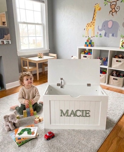Personalised painted toy box - personalised,